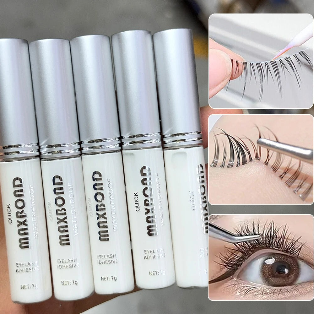 lash glue